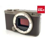 【中古】 【美品】 パナソニック LUMIX DC-S9-N ボディ チタンゴールド