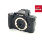 PANASONIC LUMIX DC-G100