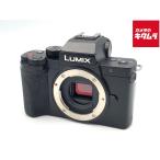PANASONIC LUMIX DC-G100