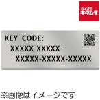 パナソニック アップグレードソフトウェアキー DMW-SFU1 カメラ