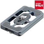  Leo фото NP-65T quick release plate titanium цвет 