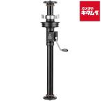  Leo фото GC-404C механизм тип центральный paul (pole) 