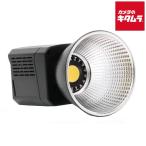 TOKIWA STYLE VLA-40WS LEDビ