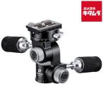  Leo фото FW-01R руль платформа 