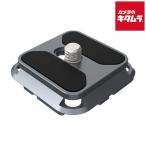 iFootage Q38-PL SEASTARS PLATE