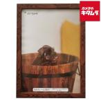 na бегемот cocos nucifera JOA-B4-BR OA рама B4 Brown 