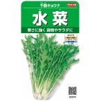サカタのタネ 実咲野菜2970 水菜 千筋キョウナ 00922970