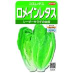 実咲野菜　レタス　ロメインレタス　コスレタス　小袋003028
