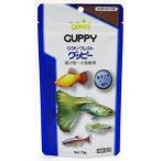  Kyorin ...k rest Guppy 70 грамм (x 1)