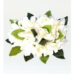 フラダンスチューブローズヘアクリッ...