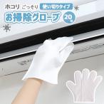 お掃除グローブ 使い切り 使い捨て 左右兼用 手袋 お掃除手袋 掃除 エアコン ブラインド 照明 サッシ 換気扇 車内 網戸 観葉植物 パソコン 年末大掃除 お掃除