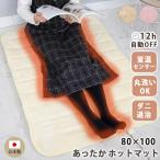 ホットマット一人用 電気マット ミニ 洗える あったか パーソナル ショートマット 80x100cm 暖房 日本製 座布団 SB-HP900