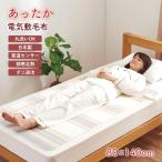 電気敷毛布 椙山紡織 電気毛布 冬物寝具 丸洗い 電気 ひざ掛け ダニ退治 室温センサー 足元 暖房 シングル あったか 暖房器具 毛布 日本製 頭寒足熱 SB22S24