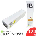 小鳥用シーツ 120枚 グリーン 鳥 シート 小鳥 鳥用 シーツ 120枚入 鳥用品 掃除用シーツ ペットシーツ ペットシート