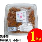 竹内農園 特別栽培 小梅干 1kg 紀州