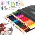 色鉛筆 48色 セット 油性 プレゼント 子供 小学生 中学生 お絵かき 大人の塗り絵 画材セット 金 銀
