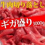 アメリカ産・豪州産牛ギガ盛り切り落とし　3000g