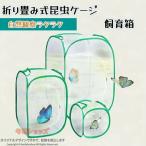 �����P�[�W �������甠 �l�b�g����P�[�X �o�^�t���C�P�[�W �ʋC�����Q �ɐB���� �A���P�[�W �W�{�� �܂��ݒ����� �|�b�v�A�b�v 2�F�W