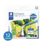 メール便可 ステッドラー 水彩クレヨン 12色セット Design Journeyシリーズ クレヨン デザインジャニー