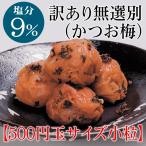 訳あり 梅干し 無選別かつお小粒700g（家庭用） 梅干 和歌山県産 紀州南高梅