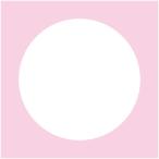 [. бамбук ]KurePunch Medium BIG CIRCLEkyua дырокол medium большой Circle 1 штук [ экспресс доставка на дом ]
