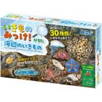 いきものみっけ！かるた うみべのいきもの 1個入【ゆうパケット対応】