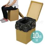 AT eko Dan туалет 2 комплект ( пакет *...* карман салфетка ) 10 выпуск 1 комплект входить [ экспресс доставка на дом ]