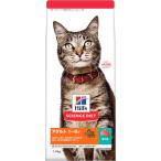 猫用ドライフード