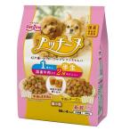 プッチーヌ 1歳から 半