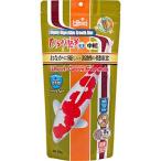 キョーリン　ひかり胚