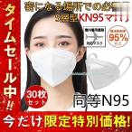 N95マスク同等 KN95マスク 30枚 使い捨て 3D立体 高性能5層マスク 不織布 男女兼用 防塵マスク 感染防止 業務 機内着用義務 肌に優しい オリンピックマスク