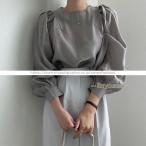パフスリーブブラウス レディーストップスシャツ 長袖 春夏服 透け感 丸首 フリル プルオーバー 長袖ブラウス シャツブラウス オフィス 大人 卒業式 入学式 20代