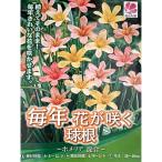 球根 26年9月中下旬予約 ホメリア 混合8球入り