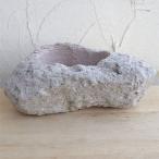  луговые и горные травы горшок Satsuma пемза горшок 3L размер (4 номер рассада для *.... для )