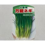  овощи. рассада / лук-батун : маленький весна (.. .)3 номер pot 