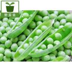  овощи. рассада / зеленый горошек. рассада 2.5~3 номер pot рассада 3 АО комплект 