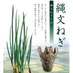  овощи. рассада /. san. . документ лук-батун 3 лампочка ..2.5 номер pot 2 АО комплект 