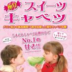 野菜の苗 26年8月下旬予約 極甘 スイーツキャベツ3号ポット