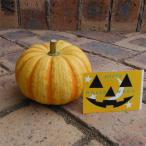  Halloween для игрушка тыква pchi.-niL наклейка есть 6 шт. комплект ( диаметр 8~10cm)
