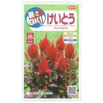 (わけあり特価)ケイトウ:チャイナタウン サカタ 花タネ