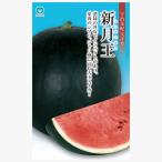 (わけあり特価)スイカ:新月王(しんげつおう) 濃緑のインパクトある大玉スイカ 野菜タネ