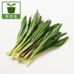  овощи. рассада line человек чеснок (a собака лук-батун )1...3 номер pot 12 АО комплект бесплатная доставка 