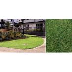  обивка газонная трава koulaisiba winter поле 1.8 flat рис минут ( Goryeo газонная трава ) бесплатная доставка 