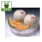 野菜の苗メロンプリンスメロン自根苗...