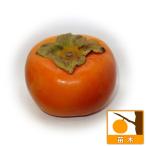 果樹の苗カキじろう4〜5号ポット