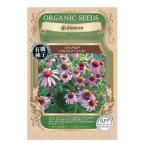 ハーブの種 エキナセア（ムラサキバレンギク　プルプレア ピンク） タネ