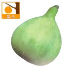 果樹の苗 イチジク レディーホワイト5号ポット