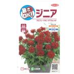 (わけあり特価)ジニア:プロフュージョン ダブル レッド 花タネ