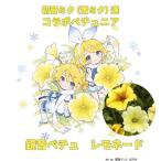 ショッピング雪ミクセット 草花の苗/ペチュニア：鏡音ペチュ　レモネード3.5号ポット 6株セット