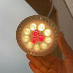 プランツネクスライト ホワイト 電球色（